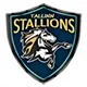 Tallinn Strikers